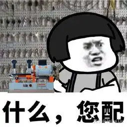 配钥匙三元一把十元三把的梗