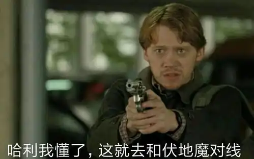 国外网友恶搞,当哈利波特用枪之后会变成什么故事