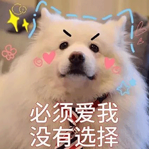 我不和不戴口罩的人玩