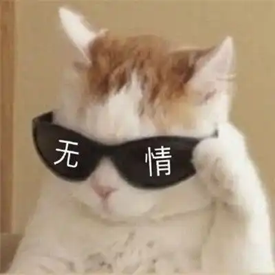 嘲讽表情包沙雕图片墨镜带字嘲讽表情包