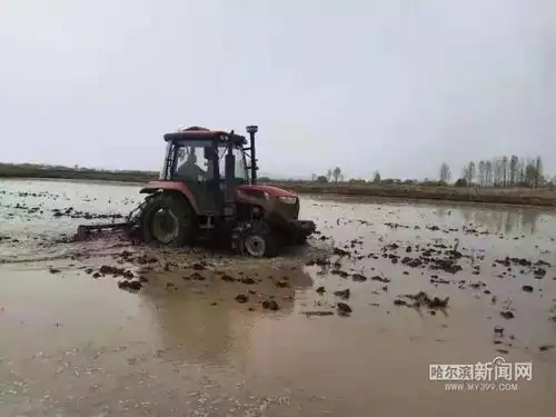 黑龙江全力保粮食面积增加旱田播种已超九成,水田插秧已超七成