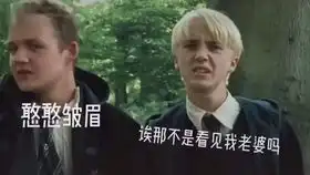 橙光游戏hp同人文德拉科线这个德拉科也太暖了吧正文番外已完结