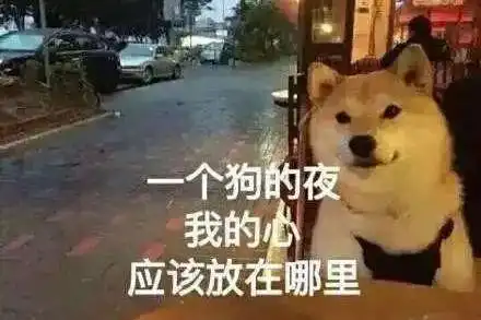 叮咚请查收七夕专属表情包孤寡青蛙和布谷鸟已到达战场......