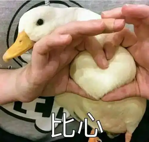 强势围观盘点一下二师姿势