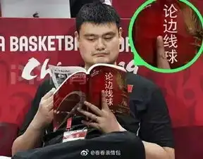 表情包姚明我太难了,中国男篮太难了