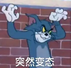 摄影