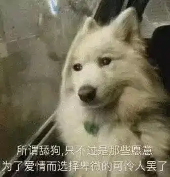 动漫舔狗等级对照表,没有一个不可怜,最后一个真是王者段位的