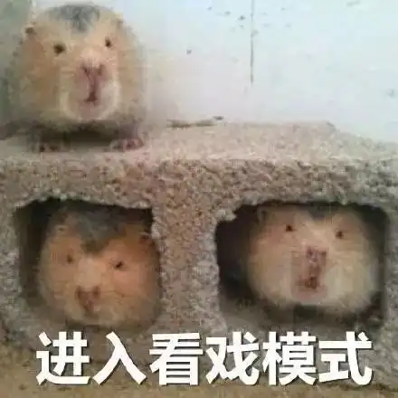 测试一个超长简介的文章
