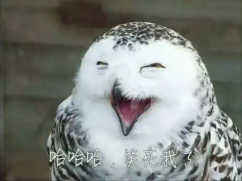 有没有哈利波特无水印表情包
