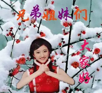 冬至了,群里的朋友,大家好为您送上最美的群聊动图