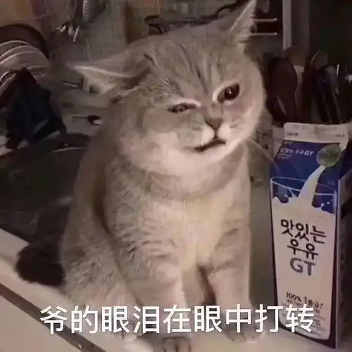 水,担心我们寝室迟早会因为追星爆发战争