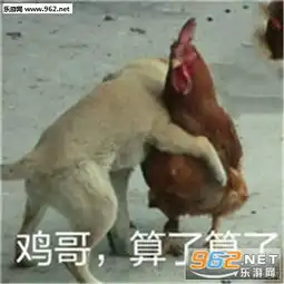 哪来的野鸡给自己加戏表情包你也只配给本鸡舔脚表情包图片下载乐游网游戏下载