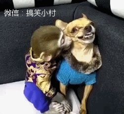 姑娘情人节出租自己这价格感人