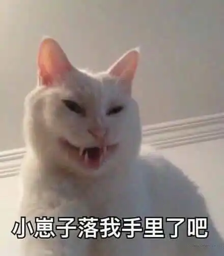 测试一个超长简介的文章