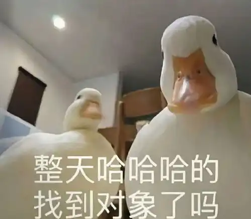 聊天表情日子很美,开心万岁