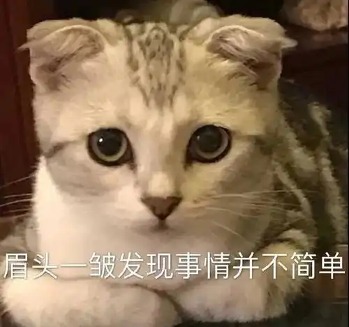 搞笑动物的表情包聊天表情