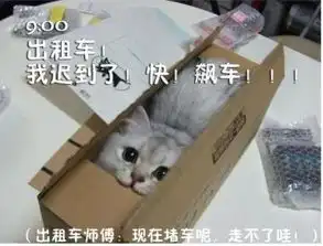 猫咪搞笑屌丝表情演绎上班族的一天