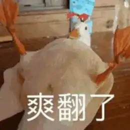 比心鸭子全套表情包分享