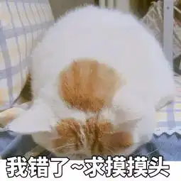 抖音我错了表情包群主我错了认错表情包下载