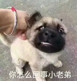 lol段位最低职业选手mlxg韩服白银1,胜率仅有14
