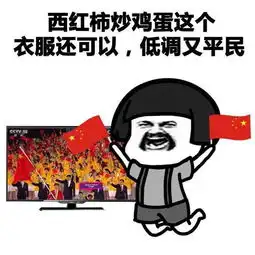 朱婷黄晓明,网友我和偶像之间只差一场奥运会