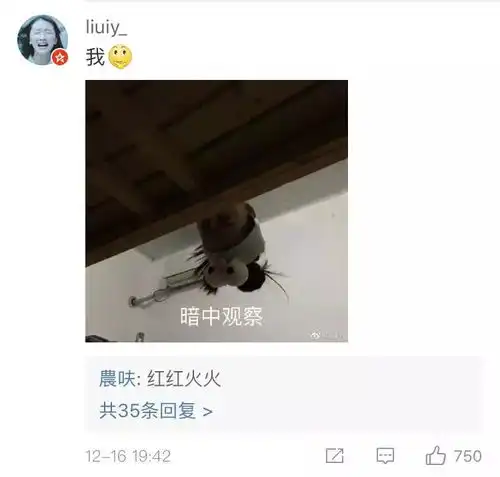 我把领导p成表情包,然后不小心发到了工作群,我会不会死