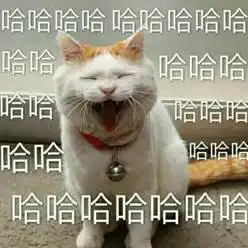 国庆无聊怎么办来哈哈哈哈哈哈一下就好了