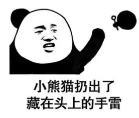 熊猫头搞怪专用卖萌表情小熊猫梳好了一个丸子头
