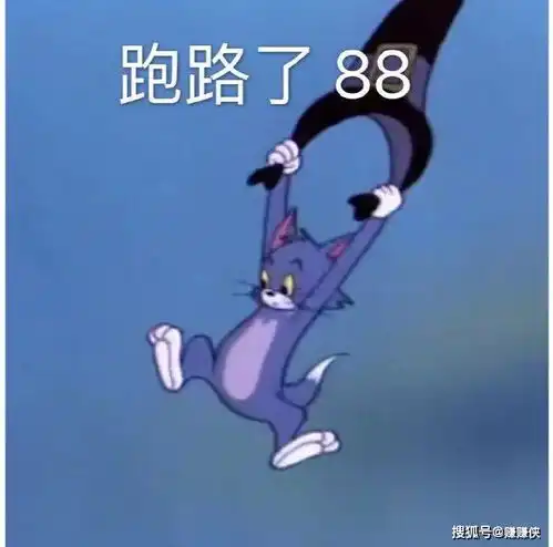 最新表情包图片确认过眼神