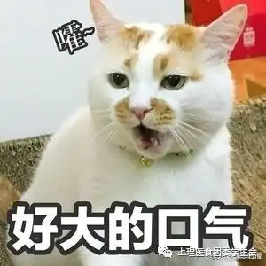 我们的表情包去世了