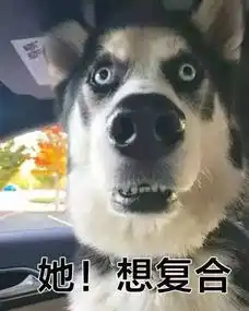 前女友突然加我微信怎么办