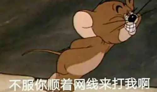 dnf卢克主c掉线副c剑魂一句不服你顺着网线来打我啊网友贱,是真的贱