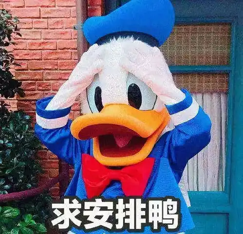 p2p车上的还能不能再抢救一下鸭