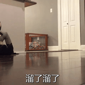 新东方1000w人的直播间,到底是在搞什么新花样
