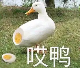 我的收藏夹