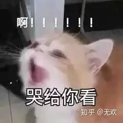 有没有什么比较卑微的表情包或者那种可以表达自己内心绝望和看破一切得表情包急