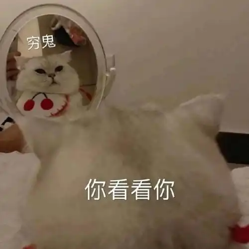 有没有那种既沙雕又搞怪的朋友圈文案
