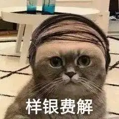 表情包小腿儿一蹬,与世无争