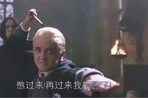 有没有哈利波特无水印表情包