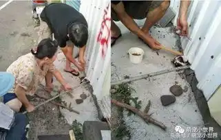 流浪猫妈妈头卡铁皮下表情超惊恐,路人敲碎水泥忙救援