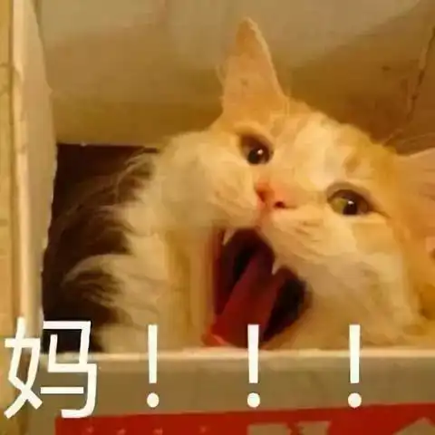 开学半个多月了还不知道娃在哪上学,你们家孩子是充话费送的吗