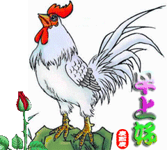 幽默早安问候图片动态图片精选