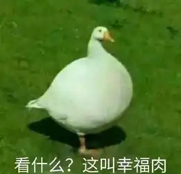 丰县施行加油站点星级化管理徐州与七市开办公积金贷款互认互贷