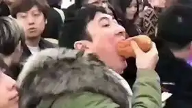 真正的玻璃蛙theglassfrogultimateninjadadanimal