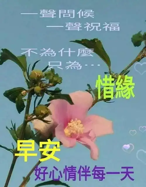 特漂亮的早上好表情图片分享早上好暖心问候语短信