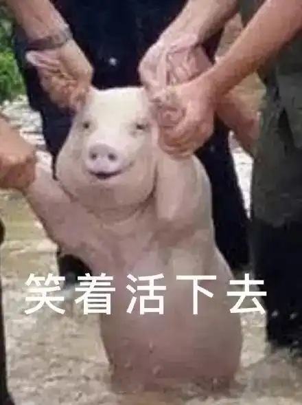每个专业都有表情包,一雪前耻的时候到了