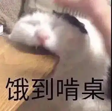 沙雕表情包当你失败的时候,总有几头猪在笑