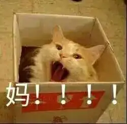 当老妈微信不理你时,就给她发......