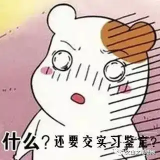 文山市沐童计划第二季暑期大学生志愿服务开始招募啦