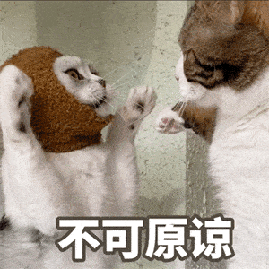 这是哪来的野鸡